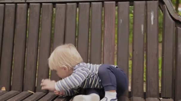 Маленький мальчик ест печенье на скамейке в парке . — стоковое видео