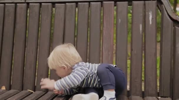 Menino comendo biscoitos em um banco em um parque . — Vídeo de Stock