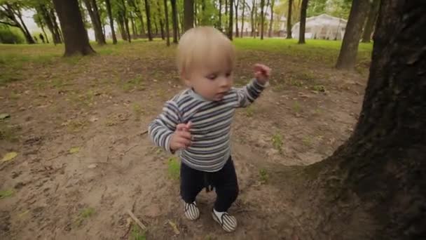 Gyönyörű kisfiú sétál a parkban egy fa mellett.. — Stock videók