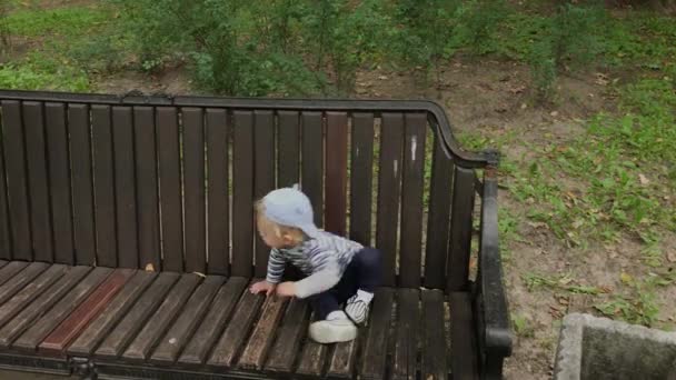 Маленький хлопчик повзе на лавці в парку . — стокове відео