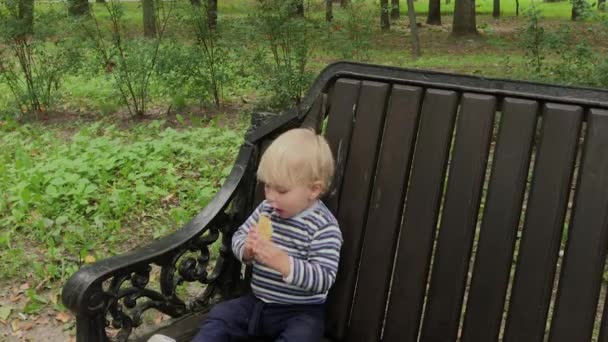 Маленький хлопчик їсть печиво на лавці в парку . — стокове відео