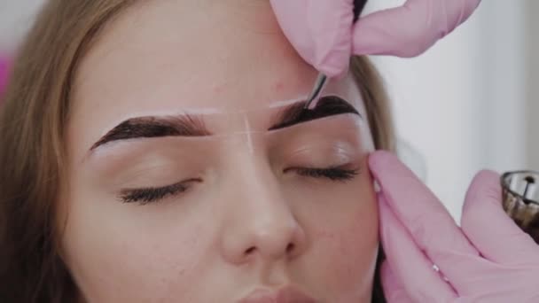 Professionell makeup artist målar ögonbryn till kund med henna. — Stockvideo