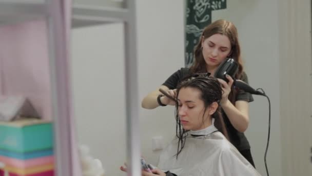 Cabeleireiro menina seca o cabelo ao cliente com secador de cabelo no cabeleireiro . — Vídeo de Stock