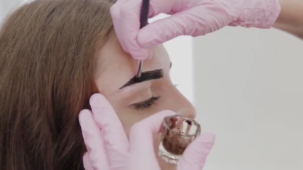 Artista de maquillaje profesional pinta las cejas al cliente con henna . — Vídeo de stock