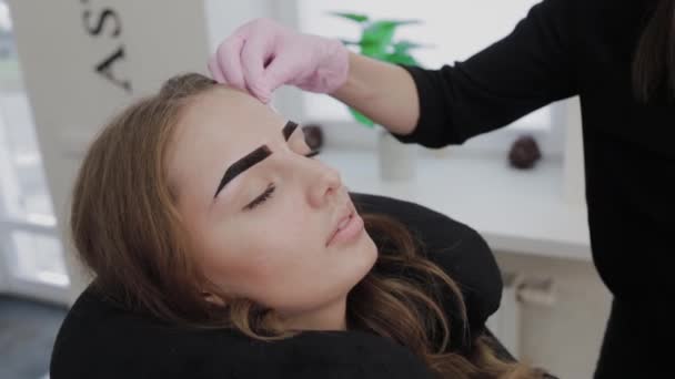 Professionele make-up kunstenaar schildert wenkbrauwen aan cliënt met henna. — Stockvideo