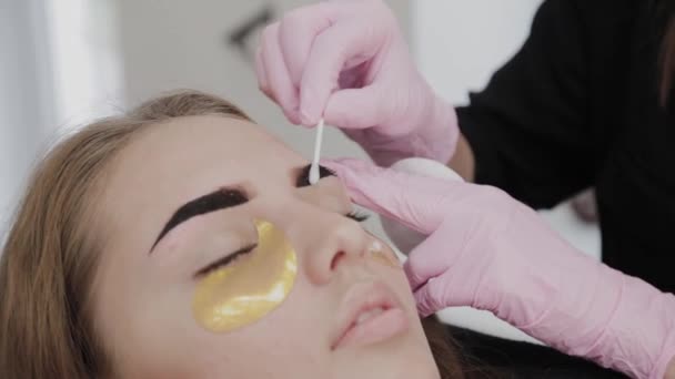 Artista de maquiagem profissional remove tinta de sobrancelha para o cliente . — Vídeo de Stock