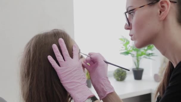 Artista de maquiagem profissional pinta sobrancelhas para o cliente com henna . — Vídeo de Stock