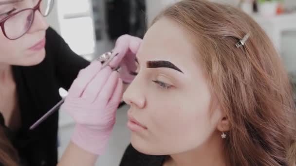 Artista de maquillaje profesional pinta las cejas al cliente con henna . — Vídeo de stock