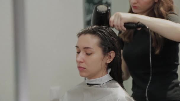 Peluquería chica seca el cabello al cliente con secador de pelo en la peluquería . — Vídeos de Stock