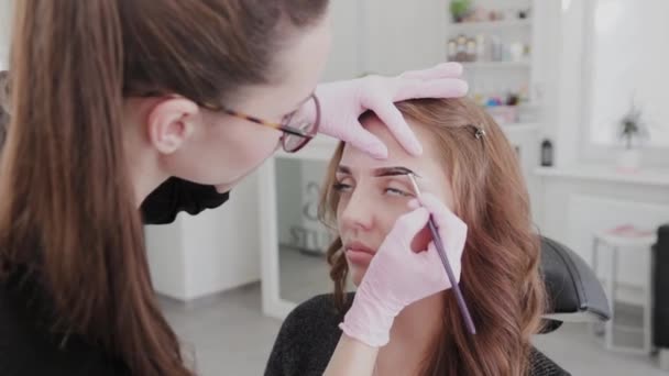 Professional makeup artist paints eyebrows to client with henna. — Stock Video