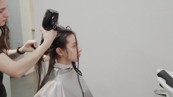 Dziewczyna fryzjer suszy włosy do klienta z suszarką do włosów u fryzjera. — Wideo stockowe