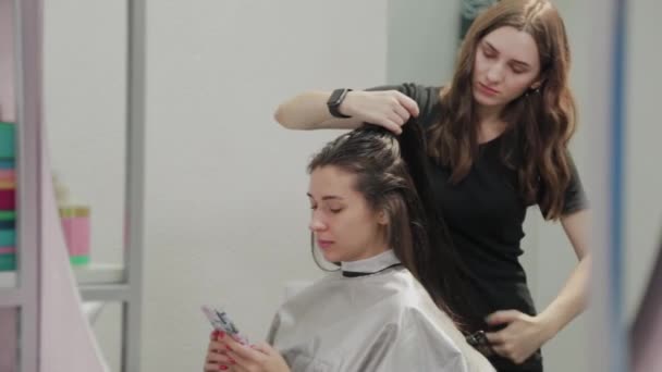 Peluquería chica seca el cabello al cliente con secador de pelo en la peluquería . — Vídeos de Stock