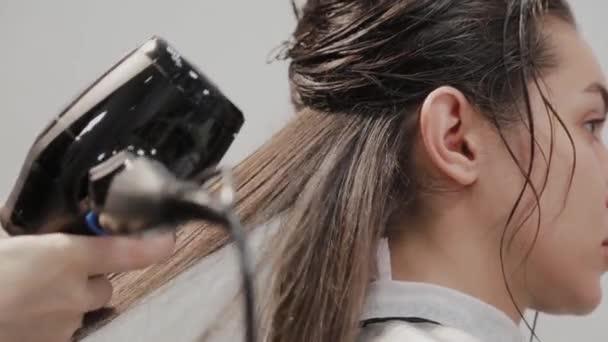 Girl hairdresser dries hair to client with hairdryer at hairdresser. — Stock Video