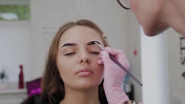 Professionell makeup artist målar ögonbryn till kund med henna. — Stockvideo