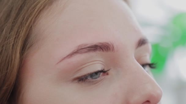 Make-up-Artist schmiert die Augenbrauen der Kundin vor dem Eingriff mit Gel. — Stockvideo