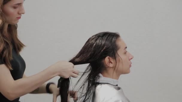 Cabeleireiro menina seca o cabelo ao cliente com secador de cabelo no cabeleireiro . — Vídeo de Stock