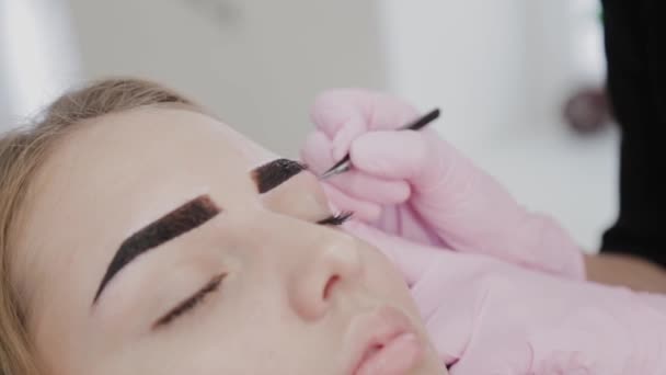 Artista de maquillaje profesional arrancando cejas para el cliente en el salón de belleza . — Vídeos de Stock