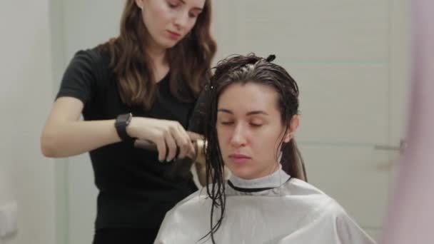 Cabeleireiro menina seca o cabelo ao cliente com secador de cabelo no cabeleireiro . — Vídeo de Stock