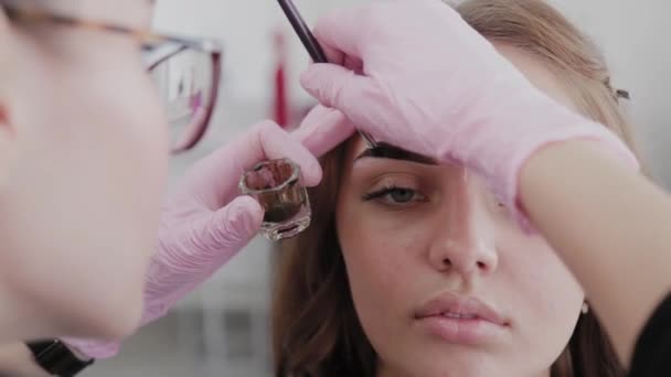 Artista de maquillaje profesional pinta las cejas al cliente con henna . — Vídeo de stock