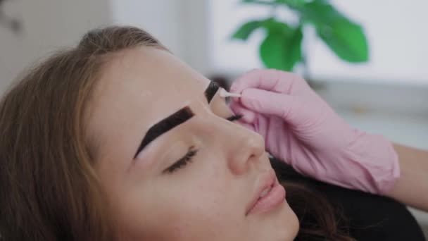 Professionell makeup artist målar ögonbryn till kund med henna. — Stockvideo