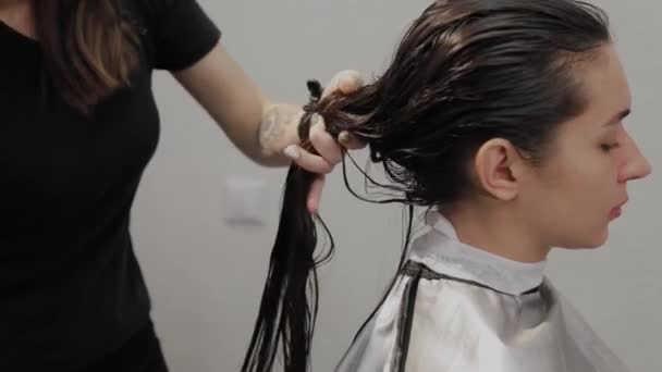 Fille coiffeuse peignage cheveux mouillés à un client . — Video