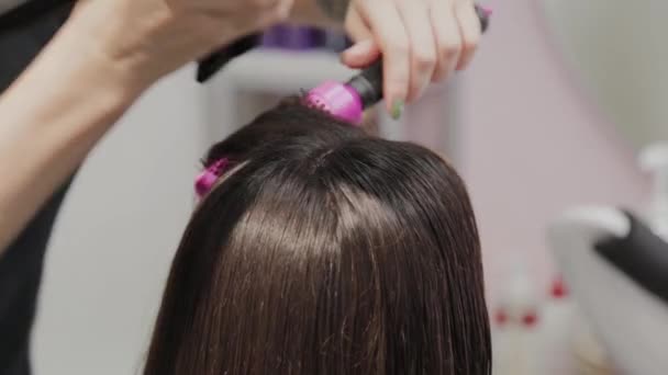 Girl hairdresser dries hair to client with hairdryer at hairdresser. — Stock Video