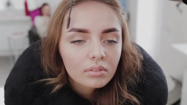 Professionelle Visagistin kämmt Augenbrauen mit einer speziellen Augenbrauenbürste eines schönen Mädchens. Kundin im Schönheitssalon macht Augenbrauen-Make-up. — Stockvideo