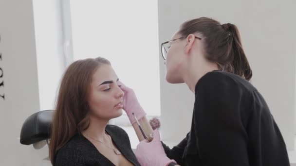 Profesionální make-up maluje obočí na klienta s hennou. — Stock video