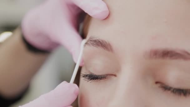 Makeup artist lubricates the eyebrows of the client with gel before the procedure. — Stock Video