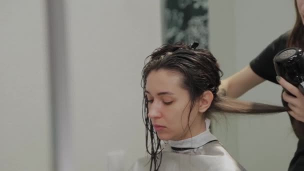 Girl hairdresser dries hair to client with hairdryer at hairdresser. — Stock Video