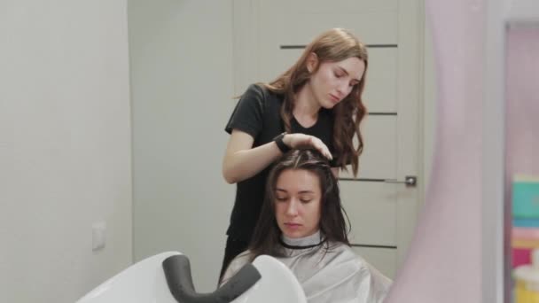 Ragazza parrucchiere asciuga i capelli al cliente con asciugacapelli al parrucchiere . — Video Stock