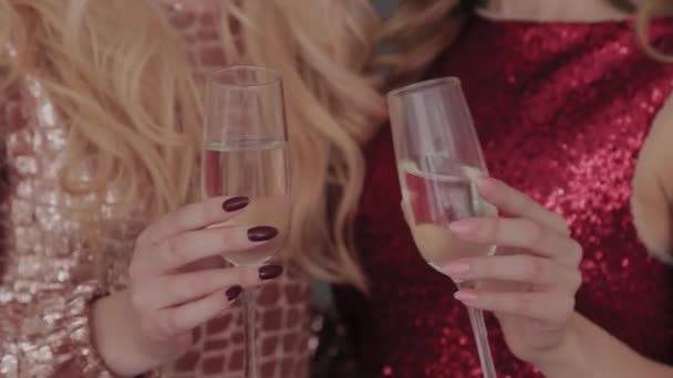 Duas meninas jovens e bonitas em um fundo cinza com copos de champanhe nas mãos . — Vídeo de Stock
