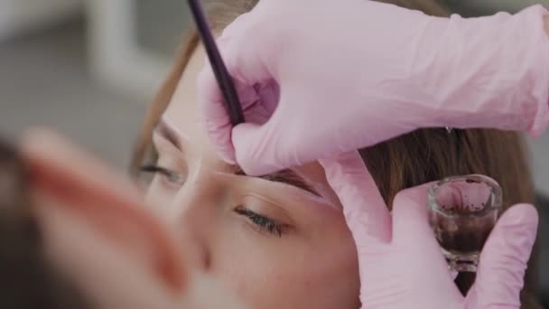 Professionele make-up kunstenaar schildert wenkbrauwen aan cliënt met henna. — Stockvideo