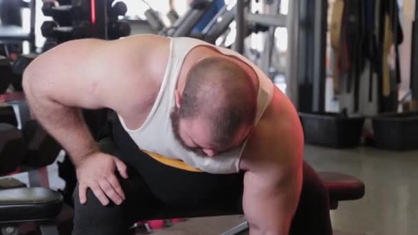 Atleta grande y potente entrena bíceps de mancuerna en un club deportivo . — Vídeos de Stock