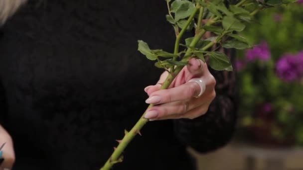Флорист вирізає квіткові стебла для букета з ножицями . — стокове відео