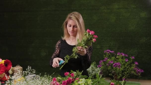 Bloemist plukt bloemen voor een boeket. — Stockvideo