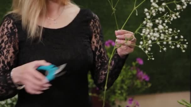 Bloemist snijdt bloemstelen voor een boeket met schaar. — Stockvideo