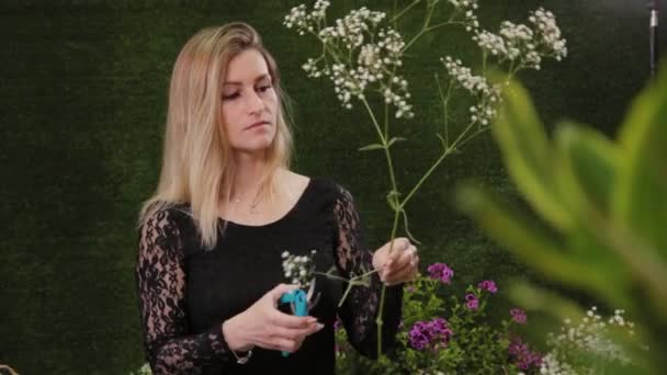 Ανθοπωλείο κόβει βλαστούς λουλουδιών για ένα μπουκέτο με ψαλίδι. — Αρχείο Βίντεο