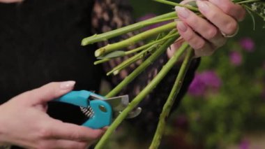 Çiçekçi makasla buket yapmak için çiçek saplarını kesiyor..