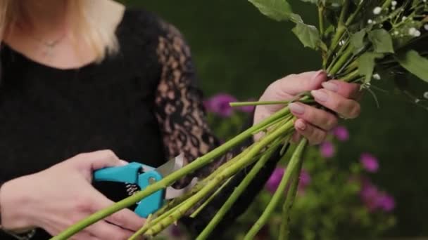 Bloemist snijdt bloemstelen voor een boeket met schaar. — Stockvideo