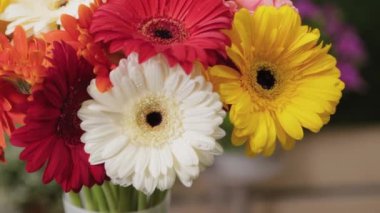 Su damlacıkları olan çok renkli güzel çiçekler..