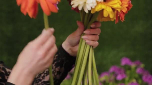 Fiorista tiene fiori nelle sue mani. Bellissimi fiori . — Video Stock