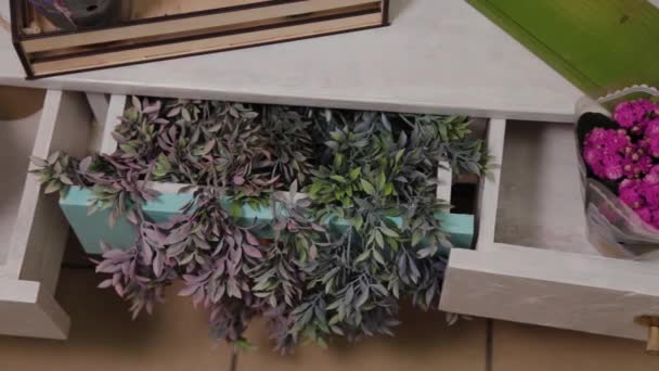 Lindas flores em vaso em uma loja de flores . — Vídeo de Stock