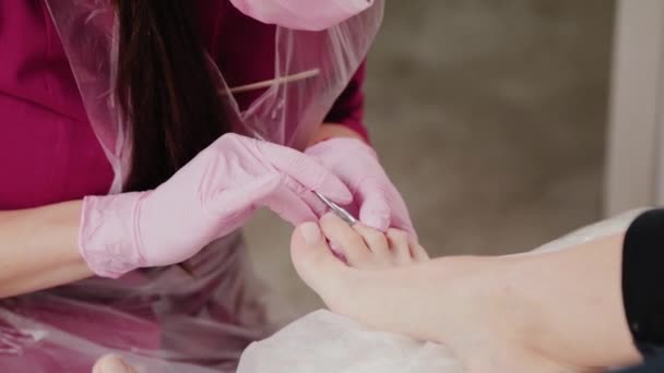 Pedikyr mästare skär nagelband på en kvinna ben. — Stockvideo
