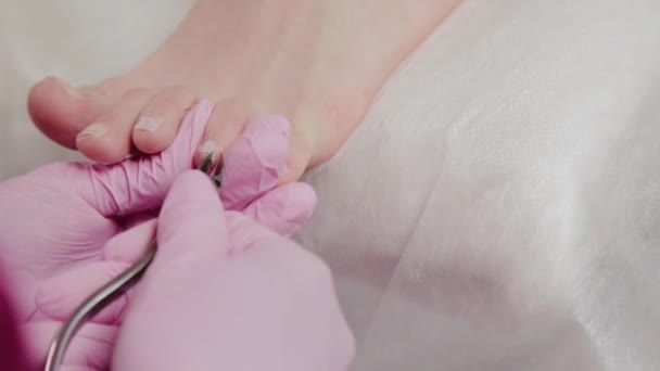 Pedicure master snijdt nagelriemen op een vrouwenbeen. — Stockvideo