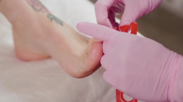 Pedicure mestre coloca divisores de dedos . — Vídeo de Stock