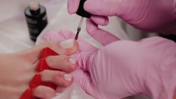 Pedicure master polishes womans toenails. — Stock Video