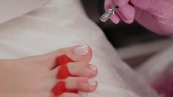 Mujer está secando goma laca en los dedos de los pies en la lámpara UV en el salón de belleza, vista de cerca. Maestro pedicurista está cubriendo pintar clientes dedos de los pies uñas shellac en el fondo. Pedicura profesional en clínica de cosmetología . — Vídeo de stock