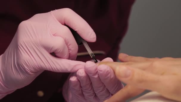 Manichiurist lustruiește unghiile cu un client într-un salon de înfrumusețare . — Videoclip de stoc