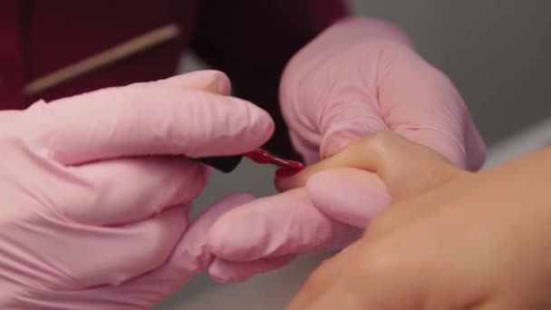 Manicurist polishes nails with a client in a beauty salon. — Stock Video